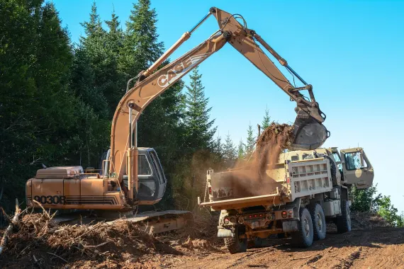 Casino Bonkers Bet Supporto